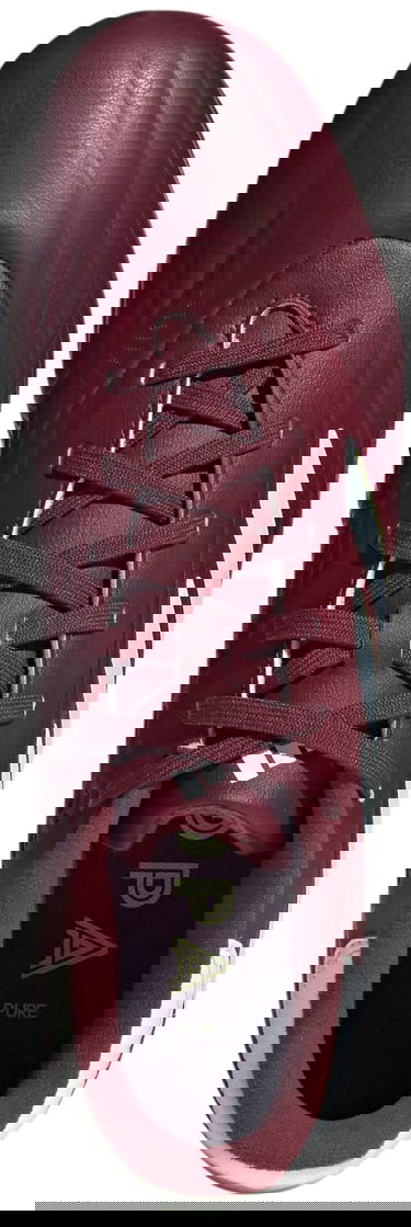 Tenisice i cipele adidas Performance Copa Pure II League FG Tamnocrvena | IE7491, 1