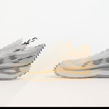 Tenisice i cipele Salomon Odyssey Elmt Advanced Clear Vanilla Ice/ Bleached Sand/ Safari Bež | L47419500, 0