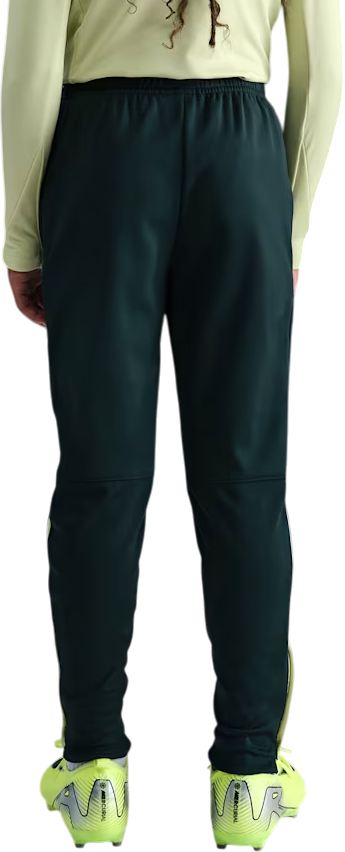 Trenirka Nike Therma-FIT Academy Pants Zelena | fj6182-390, 2