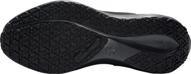 Tenisice i cipele Nike Pegasus 41 GORE-TEX Crna | fq1357-001, 4