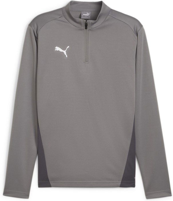 Dukserice Puma teamGOAL Training 1/4 Zip Sweatshirt Siva | 658629-13