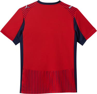 Dres Puma Puma SK Rapid Wien Away Jersey Crvena | 6skr785219-01, 1