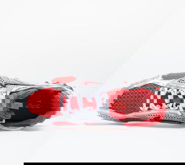 Tenisice i cipele Nike Air Zoom Spiridon Cage 2 Crvena | CJ1288-600, 2