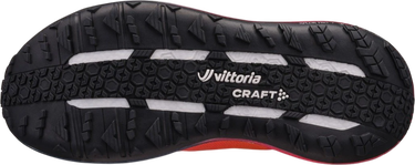 Tenisice i cipele Craft Craft Xplor Pro Višebojno | 1916068-576840, 1