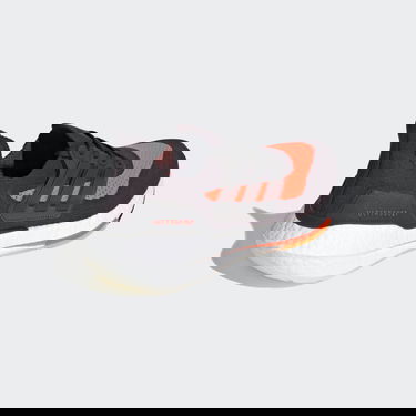 Tenisice i cipele adidas Performance UltraBoost 21 Crna | FZ2559, 1