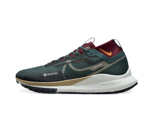 Trčanje Nike Pegasus Trail 4 GORE-TEX Zelena | DJ7926-302