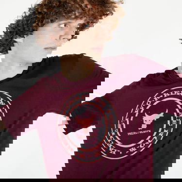 Majica kratkih rukava Under Armour Project Rock Globe Tee Tamnocrvena | 1373746-600, 2