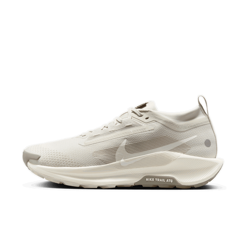 Tenisice i cipele Nike Pegasus Trail 5 GORE-TEX Bež | FQ0908-008