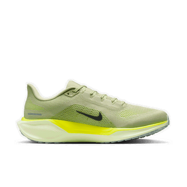 Tenisice i cipele Nike Pegasus 41 Zelena | FD2722-303, 2