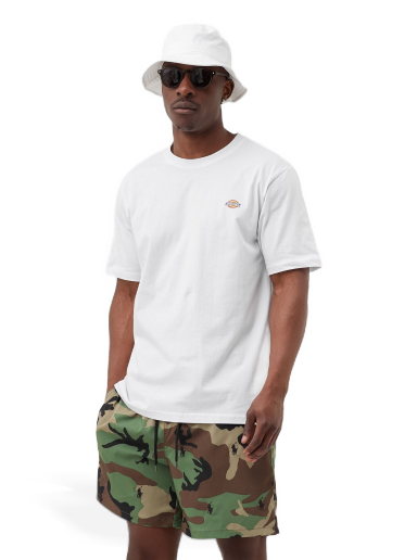 Majica kratkih rukava Dickies MAPLETON TEE Bijela | 194903389338