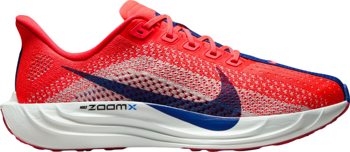 Tenisice i cipele Nike Pegasus Plus Crvena | fq7261-602, 0