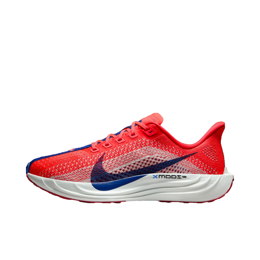 Tenisice i cipele Nike Pegasus Plus Crvena | fq7261-602