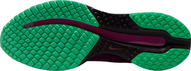 Tenisice i cipele Nike Pegasus Premium Faith Kipyegon Ljubičasta | ii0602-500, 4