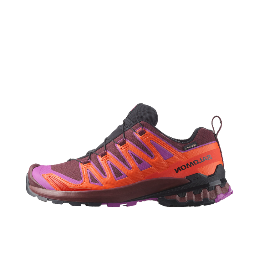 Tenisice i cipele Salomon Salomon XA PRO 3D V9 GTX Ljubičasta | l47961900