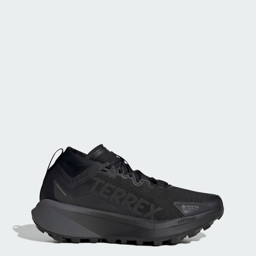 Tenisice i cipele adidas Performance Terrex Agravic GTX Crna | JR5247