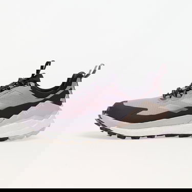 Tenisice i cipele adidas Performance Terrex Free Hiker 2 Low Gtx W Prlofi/ Silver Dawn/ Aurbla Ljubičasta | IH3540, 0
