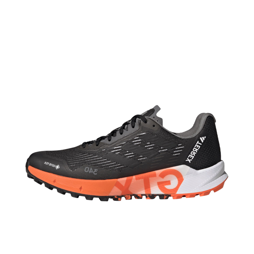 Outdoor adidas Performance TERREX AGRAVIC FLOW 2 GTX Crna | hr1110