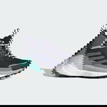 Tenisice i cipele adidas Performance Terrex Free Hiker 2.0 Gore-Tex Hiking Boots Crna | JQ9902, 0