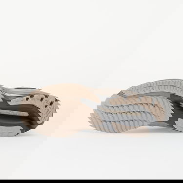 Tenisice i cipele Mizuno Wave Rider Β Gtx Bež | D1GA245204, 1