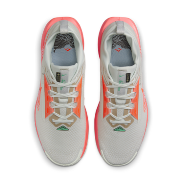 Tenisice i cipele Nike Pegasus Trail 5 GORE-TEX Siva | FQ0908-004, 2