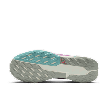 Tenisice i cipele Nike Pegasus Trail 5 GORE-TEX Ružičasta | FQ0908-600, 2