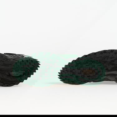 Tenisice i cipele Nike Air Pegasus Wave Zelena | IB0612-301, 1