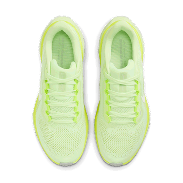 Tenisice i cipele Nike Pegasus 41 Zelena | FD2723-702, 2