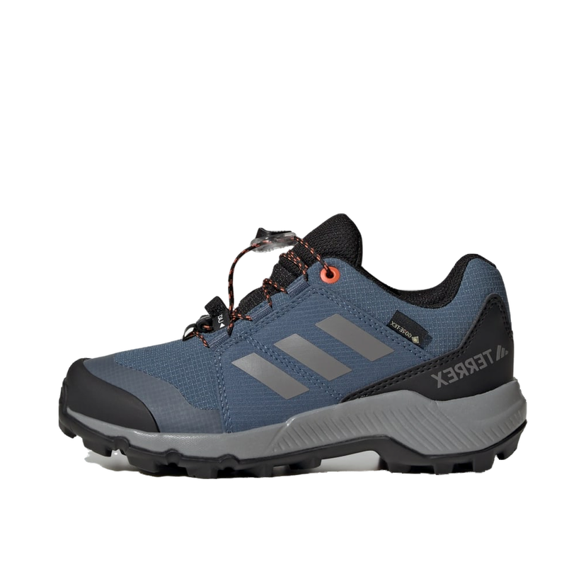 Tenisice i cipele adidas Performance Terrex GORE-TEX Hiking Shoes Plava | JI1358