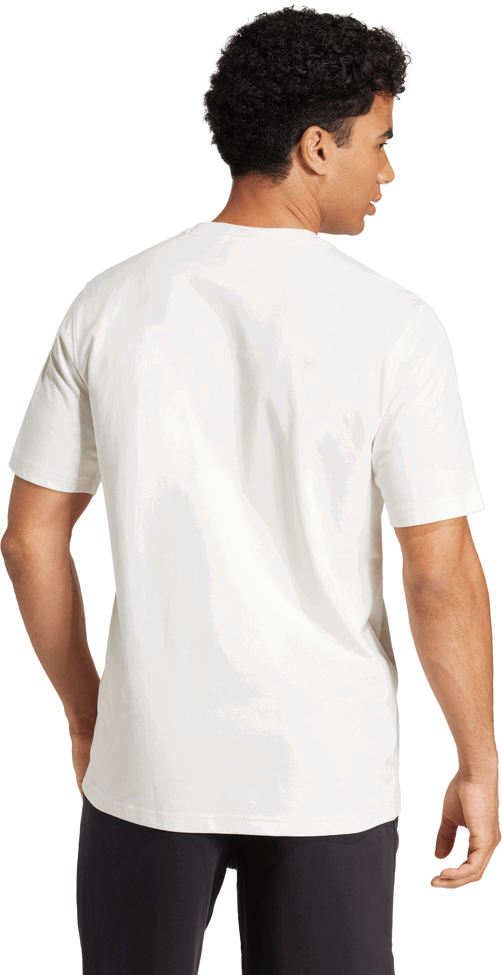 Majica kratkih rukava adidas Originals adidas Originals DFB Deutschland T-Shirt Bijela | jd7139, 1