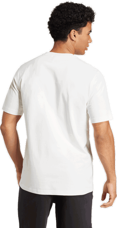 Majica kratkih rukava adidas Originals adidas Originals DFB Deutschland T-Shirt Bijela | jd7139, 1