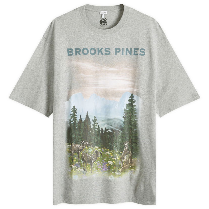 Majica kratkih rukava Loewe Mountain Graphic T-Shirt Siva | H526Y22XBB-1440