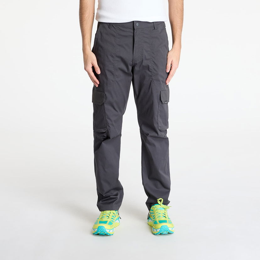 Cargo hlače Columbia Columbia Landroamer™ Twill Cargo Pants W36/L32 Siva | 2123191011