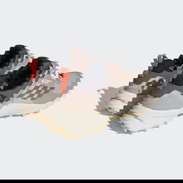 Tenisice i cipele adidas Performance Terrex Swift R3 GORE-TEX Bež | HR1315, 1