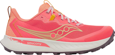 Tenisice i cipele Saucony Peregrine 15 Ružičasta | s10990-245, 0