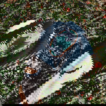 Bomber jakna Footshop Playboy x FTSHP Varsity Jacket UNISEX Grey Bež | FTSHP_503, 17