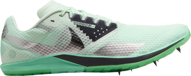 Tenisice i cipele Nike Rival XC 6 Zelena | dx7999-300, 0