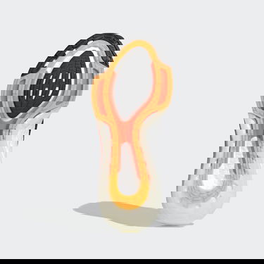 Tenisice i cipele adidas Performance UltraBoost 21 Crna | FZ2559, 2