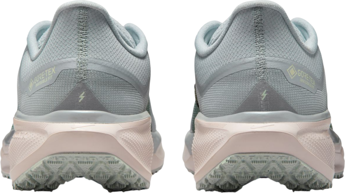 Tenisice i cipele Nike Pegasus 41 GORE-TEX Višebojno | fq1356-007, 1