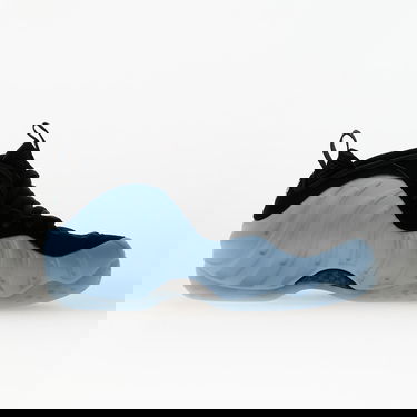 Tenisice i cipele Nike Air Foamposite One Plava | HJ6014-400, 2