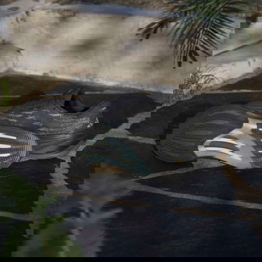 Tenisice i cipele adidas Performance Supernova Rise 2 Crna | jq7707, 6