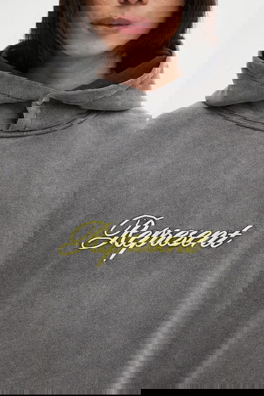 Dukserice Represent Clo Represent Script Logo Hoodie Siva | MLM100028, 3