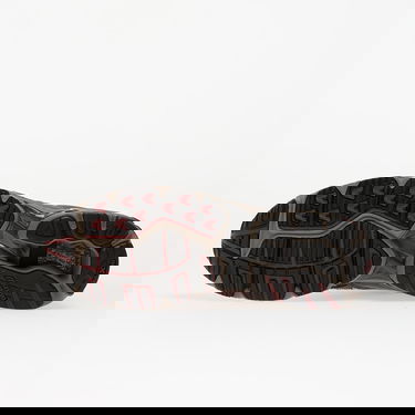 Tenisice i cipele Mizuno Wave Rider 10 Smeđa | D1GA243112, 1