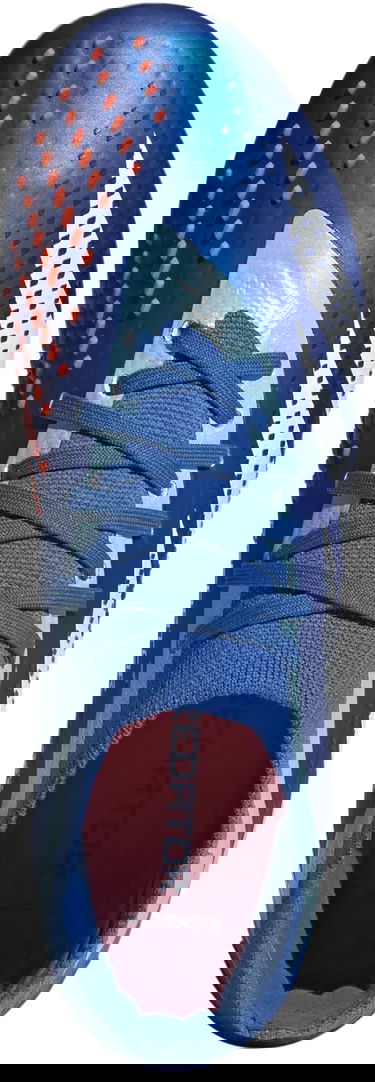 Tenisice i cipele adidas Performance PREDATOR ACCURACY.2 FG Plava | gz0027, 1