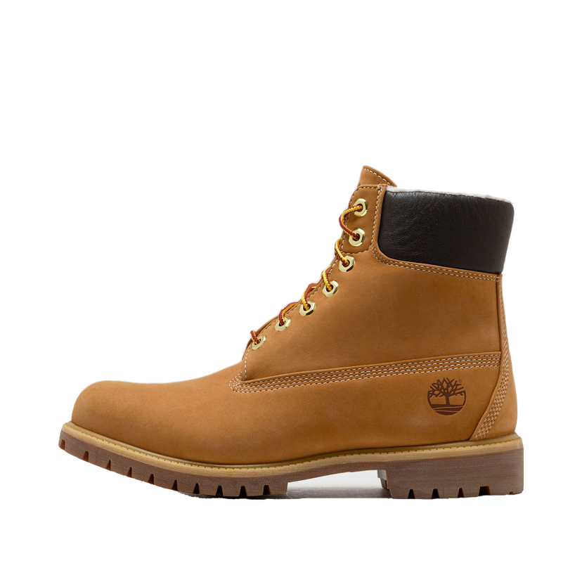 Tenisice i cipele Timberland Premium 6 INCH LACE UP WATERPROOF BOOT Smeđa | TB1A2E312311