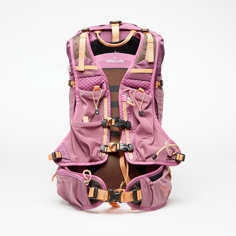 Ruksak Osprey Velocity 20 Backpack Ljubičasta | 10043048OSP.01.WML