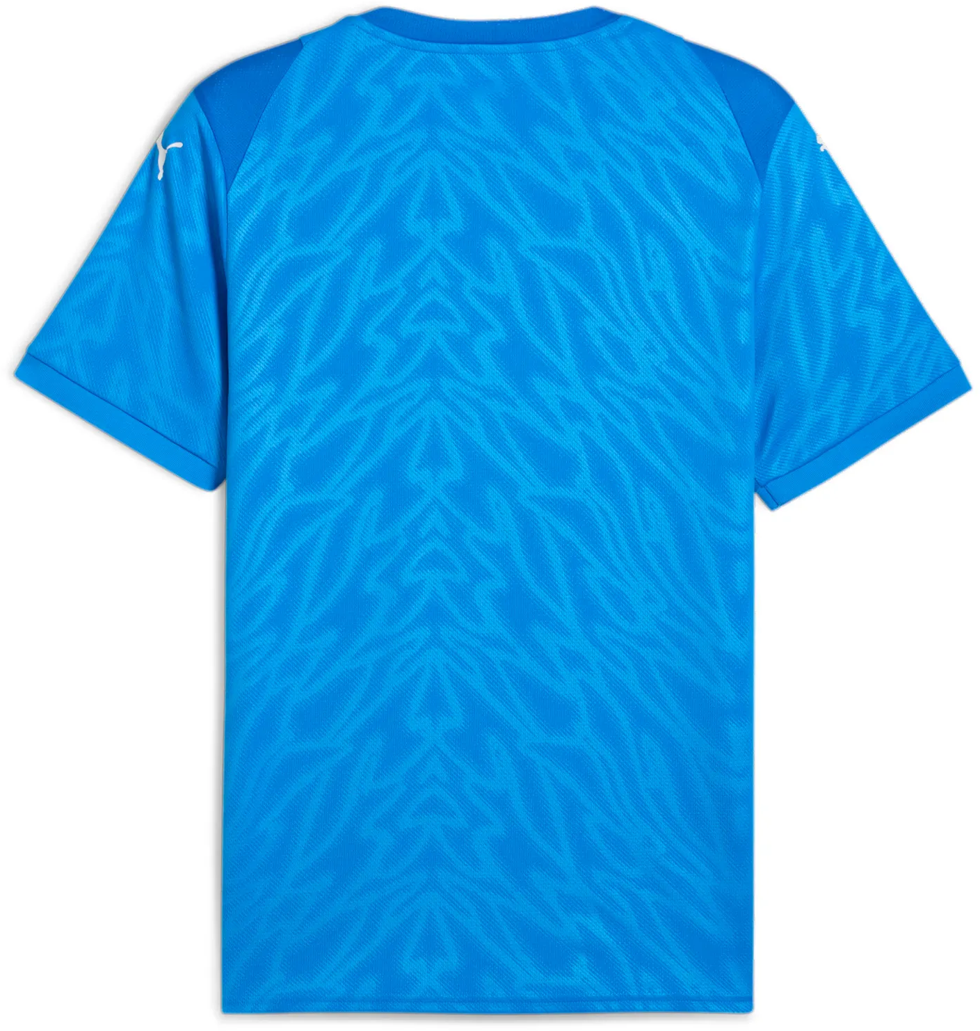 Dres Puma teamCUP Short Sleeve Patterned Sports Jersey Plava | 706272-02, 1