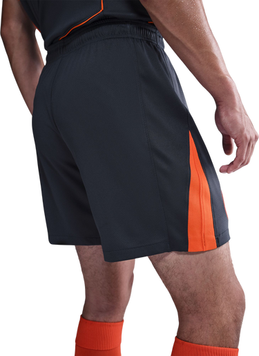 Kratke hlače Nike Dri-FIT Inter Milan Stadium Third Shorts 2025/26 Siva | hm3223-437, 3