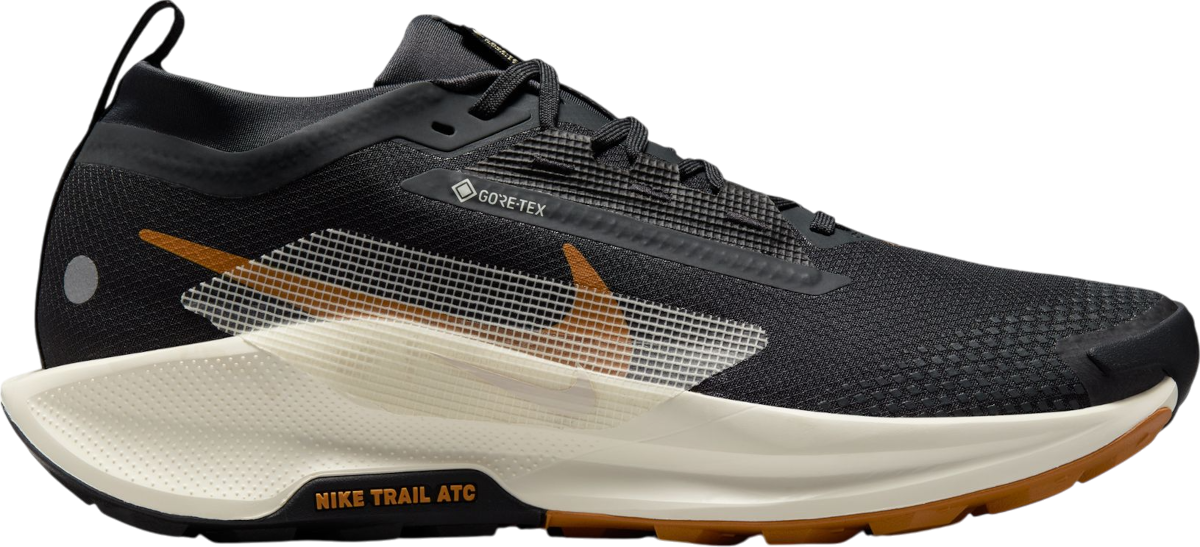 Tenisice i cipele Nike Pegasus Trail 5 GORE-TEX Crna | fq0908-007, 0