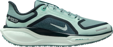 Tenisice i cipele Nike Pegasus 41 GORE-TEX Tirkiz | fq1357-003, 0