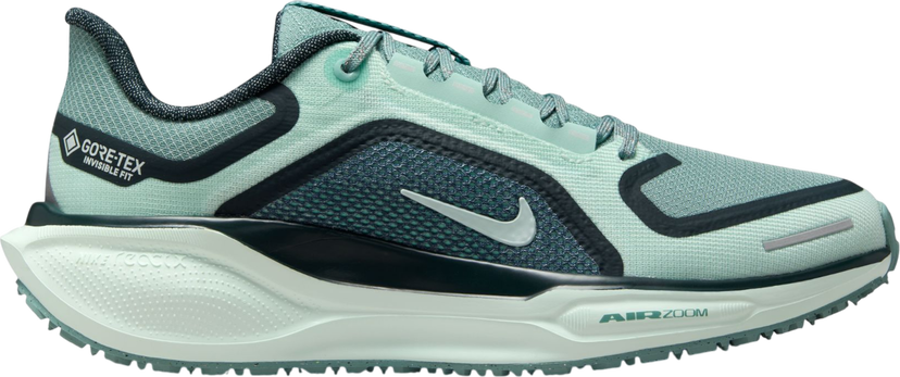 Tenisice i cipele Nike Pegasus 41 GORE-TEX Tirkiz | fq1357-003
